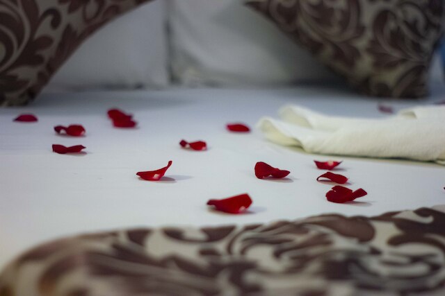 フランチャイズ ワン ホテル