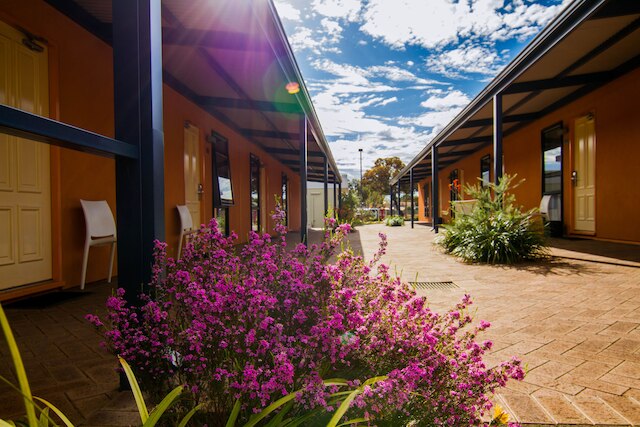 ザ ビュー オン ハナン カルグーリー