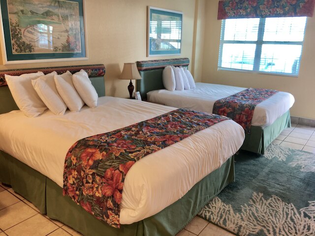 シー シェルズ ビーチ クラブ