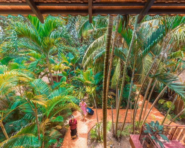 パビリオン インドチン