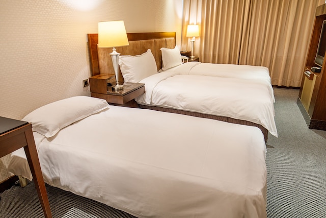 ホテル HD パレス (宏都金殿商務飯店)