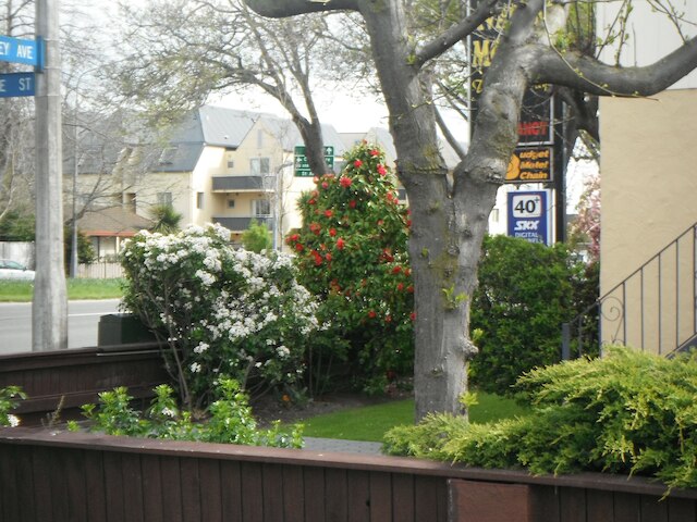 アバロン コート アコモデーション