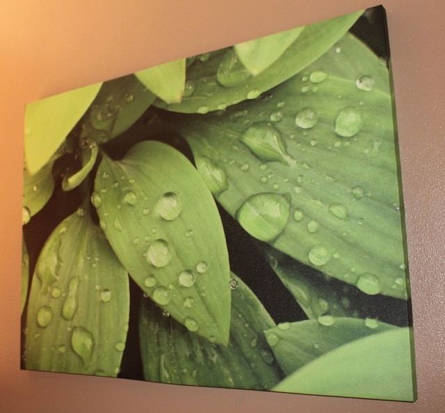 ボヘミア リゾート ケアンズ