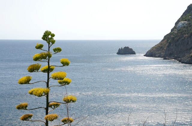 ロカンダ コスタ ディーバ