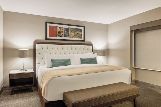 ドミニオン ポランコ