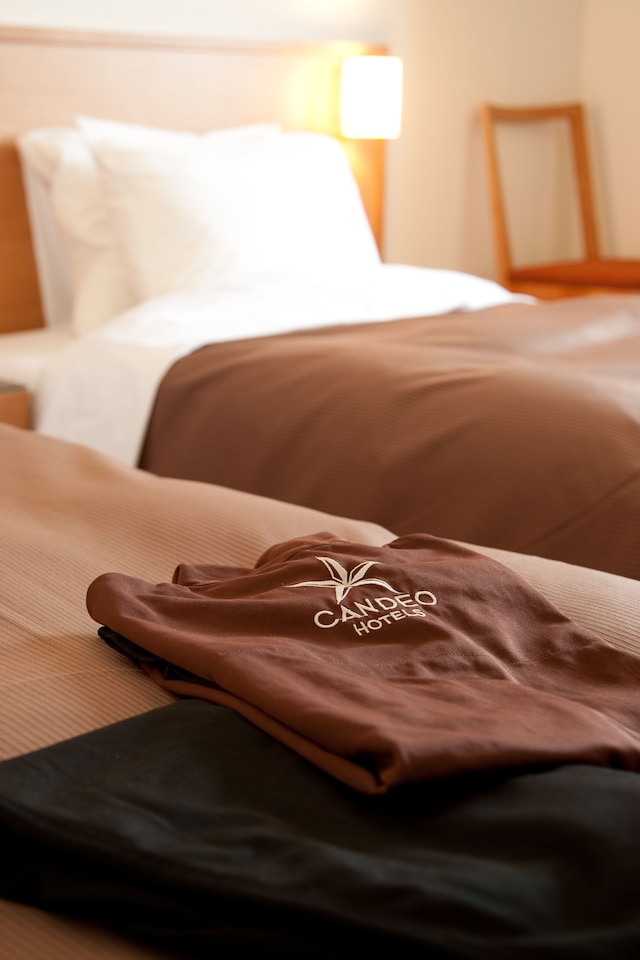 カンデオホテルズ 上野公園