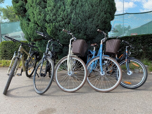 シェック ホテル