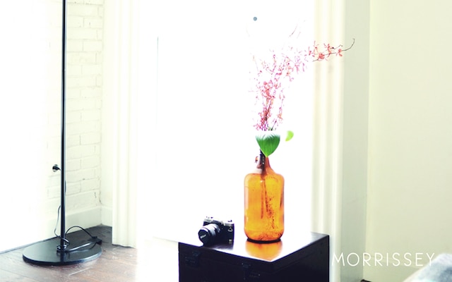 モリッシー オテル