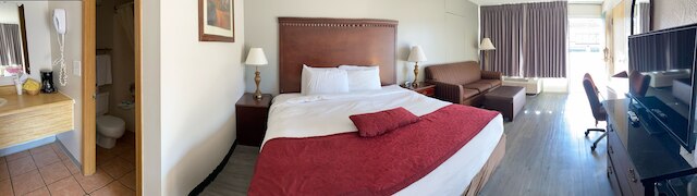 ウィロー ツリー イン