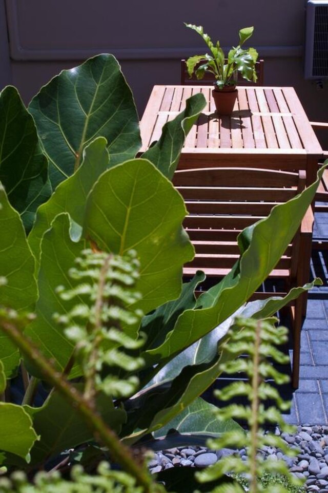 リーガル パームス リゾート