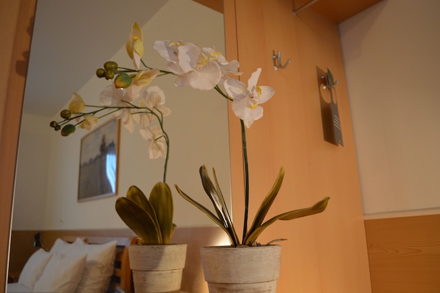 ホテル ドナウシュタット カグラン