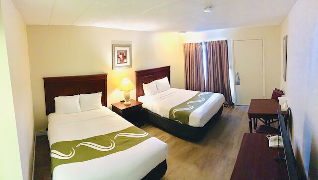 ナイアガラズ ベスト イン