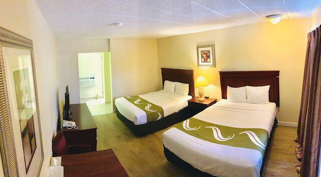 ナイアガラズ ベスト イン