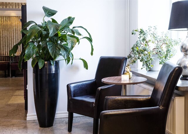 ドナーズホテル