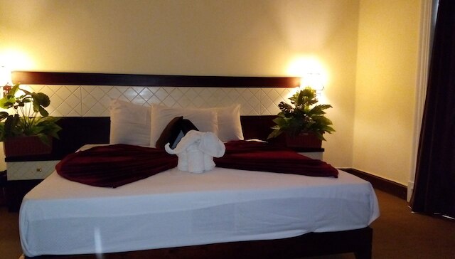 カイロ パラダイス ホテル