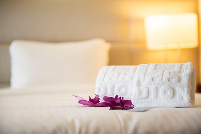 ホテル ディオン