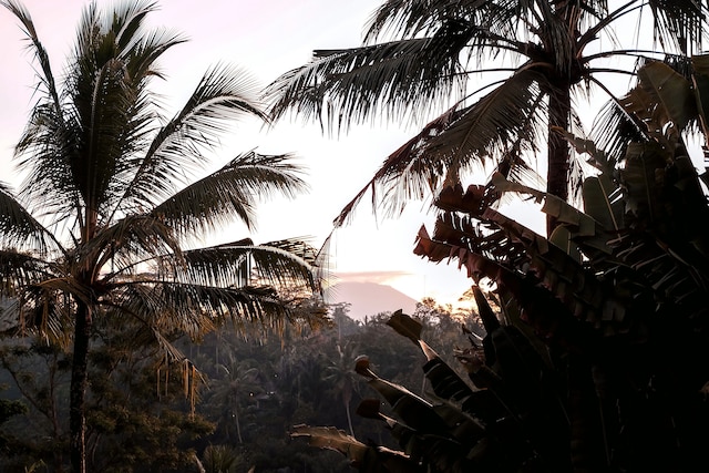 チャプング セバリ リゾート