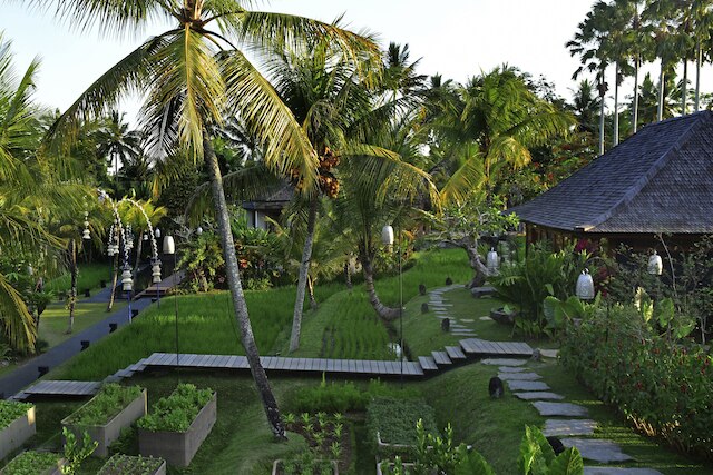 チャプング セバリ リゾート