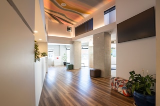 ハカ・ハウス・ウェリントン