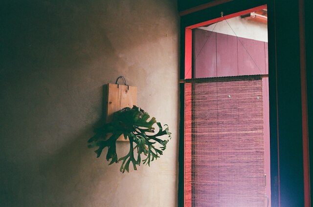 ドウェル イン チュエモイ ホームステイ