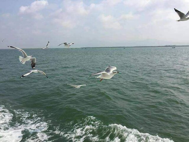 ホテル ダイヤモンド パレス