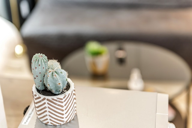 ビューティフル・ハイドパーク・スタジオフラット