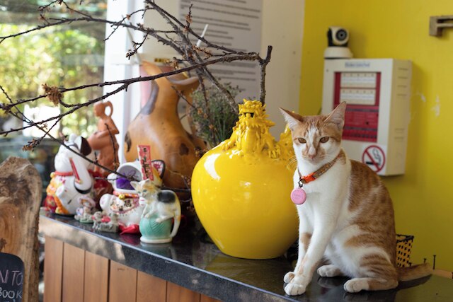 フェアリー ガーデン ヴィラ