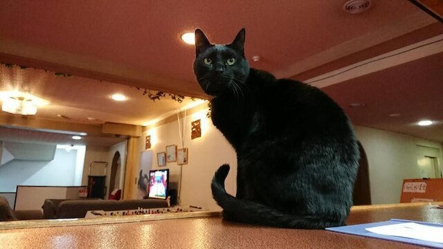 スポーツホテル シルバー志賀