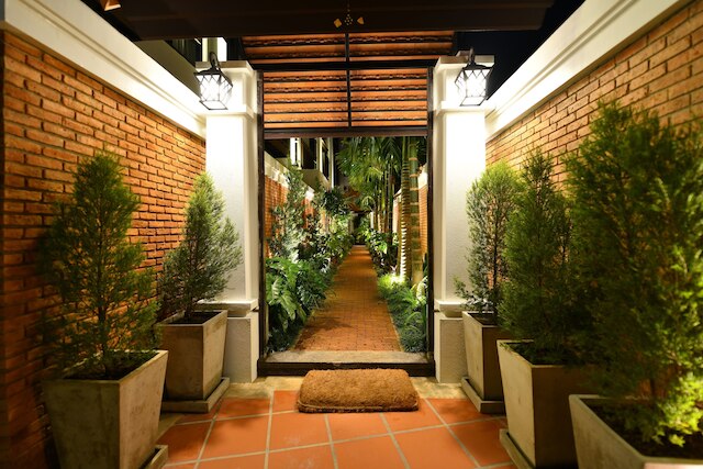 エル バリオ ランナー