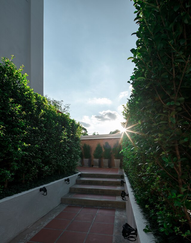 エル バリオ ランナー