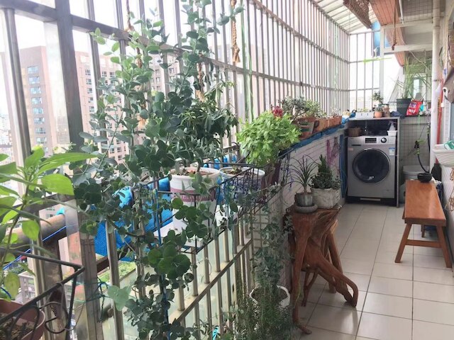 ハウス ウィズ ティー フレグランス