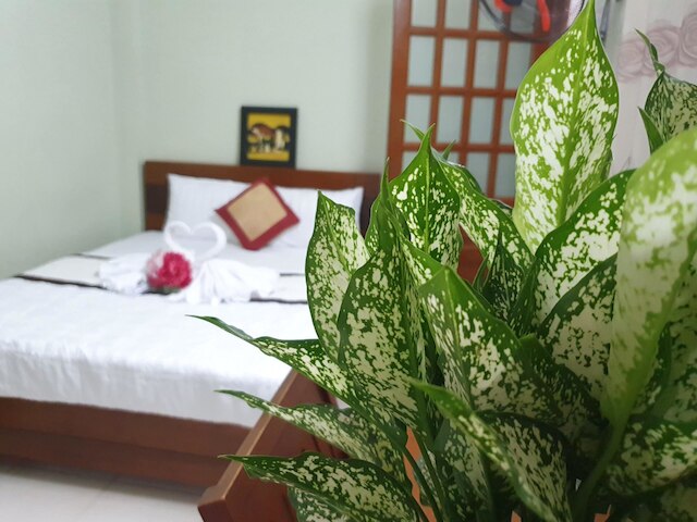 チュオン ソン ホテル