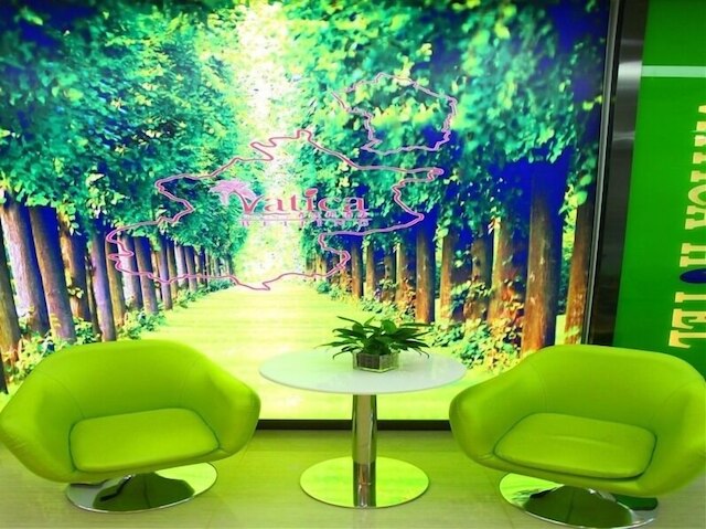 ヴァティカ 北京 朝陽 ウェスト ダワン ロード ジンロンシャン メトロ ステーション ホテル (青皮樹北京朝陽区西大望路九龍山地地鐵站酒店)