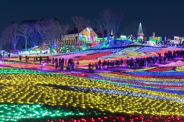 ホテル スワンレイク長柄