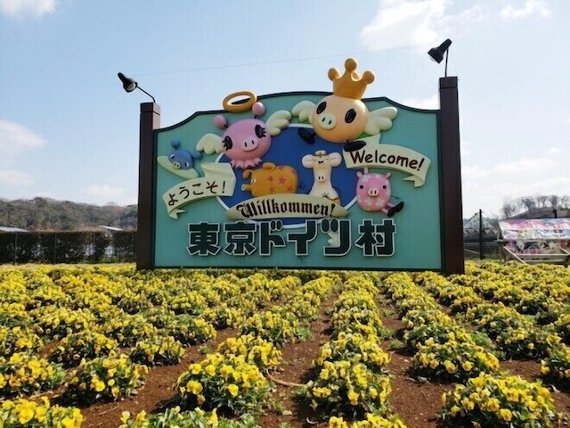 ホテル スワンレイク長柄