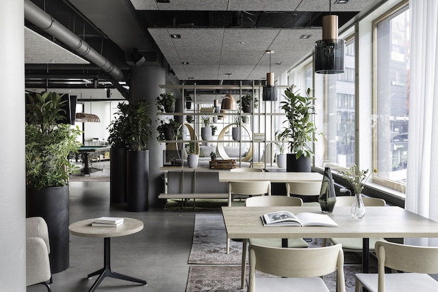 ノリ・ソルネイネン