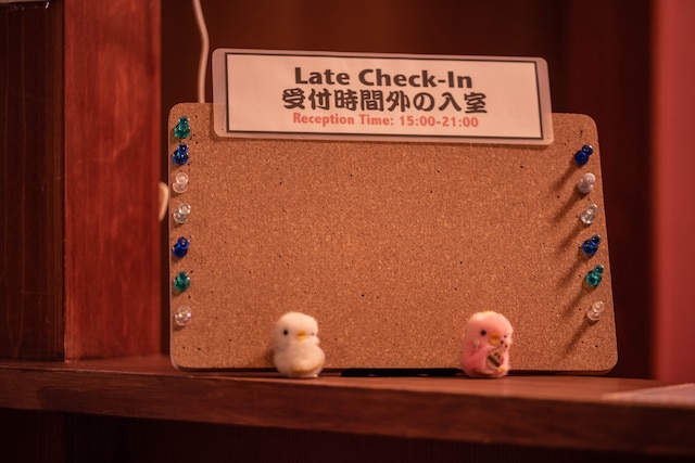 宮川町 花かんざし