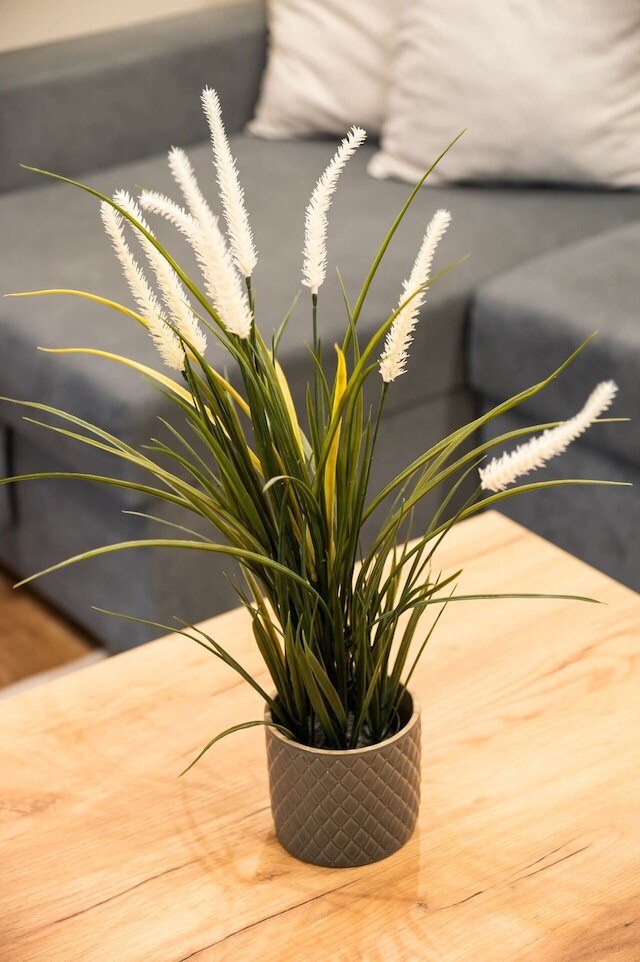 オールド タウン マーケット プレイス ペントハウス