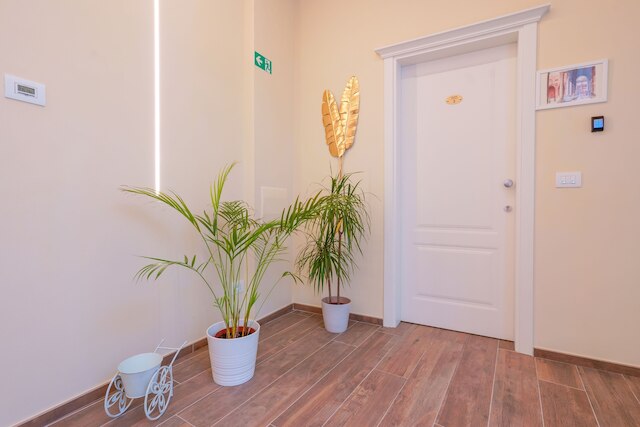 アッティコ ディ ヴィア ダゼリオ