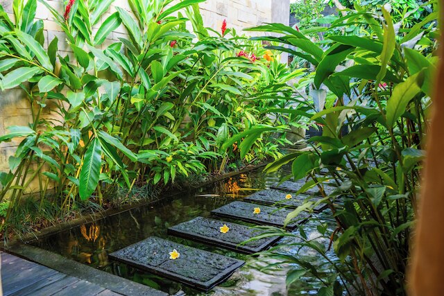 プラナ スイート ウブド