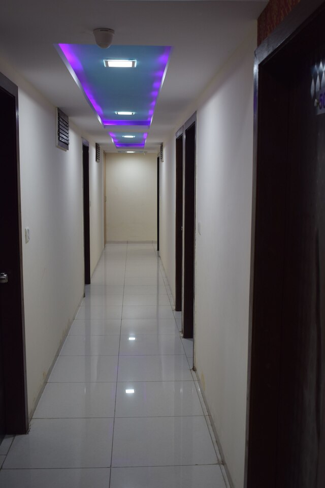 ザ レイク パレス