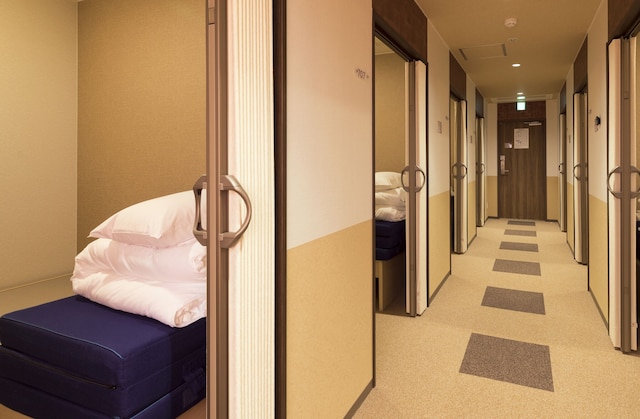 Wild Cherry Blossom - HOSTEL, TOKYO KOGANEI