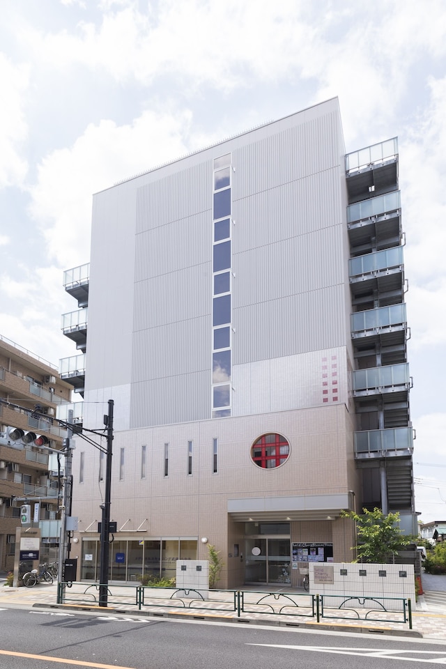 Wild Cherry Blossom - HOSTEL, TOKYO KOGANEI