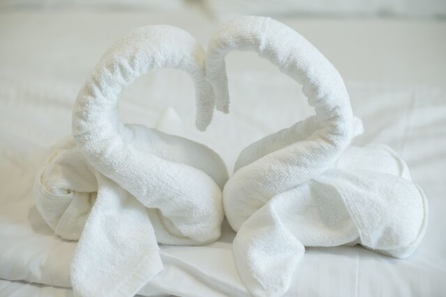 ザ プラティーノ ジョホール バル