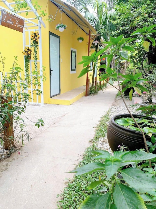 ヒュー ロータス ホームステイ