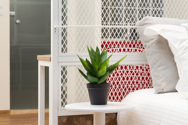 スイーツ・シングルー・フィックス