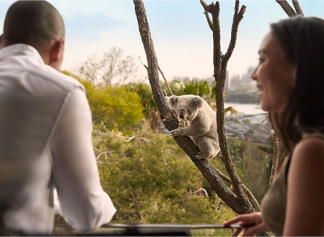 タロンガにあるワイルドライフ リトリート