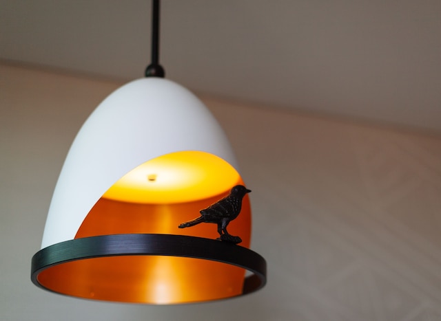 タロンガにあるワイルドライフ リトリート