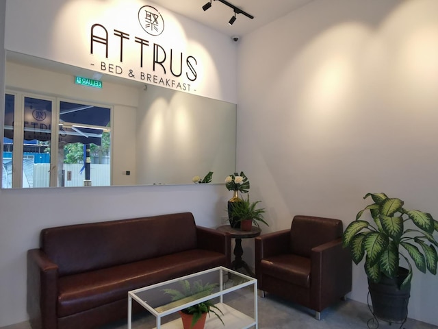 アットゥルス、LSE