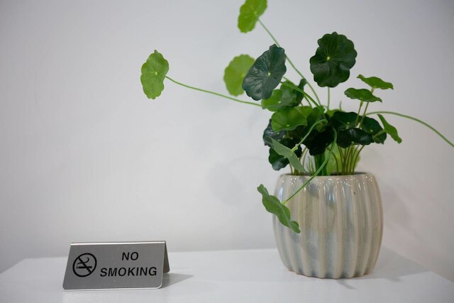 サンプチャス インクレディブル コージー ベッドルーム 2 室、Cbd 近く